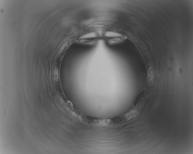 X0000051920474200507082059