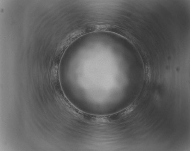 X0000051920475200507082059