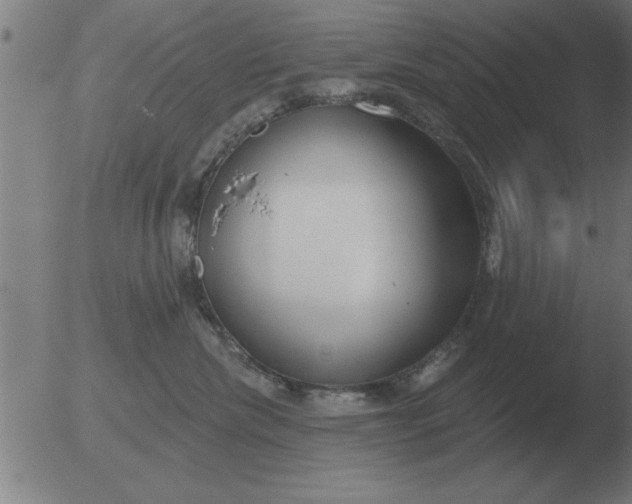 X0000051920476200507082059