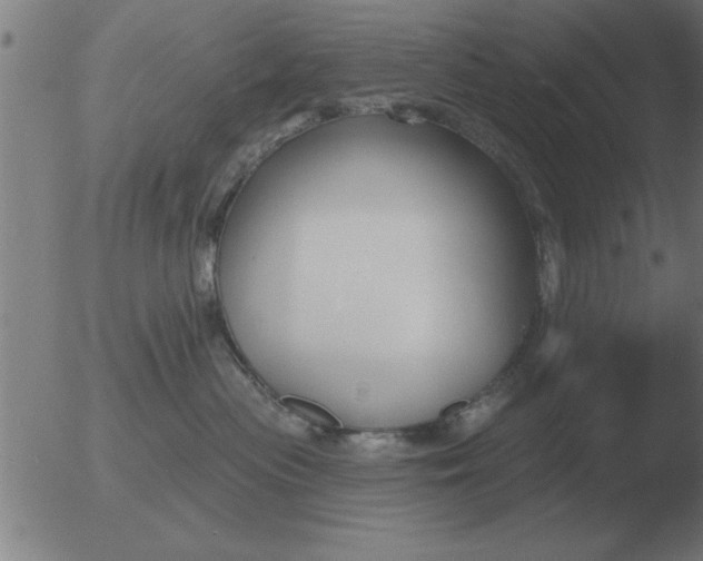 X0000051920477200507082059