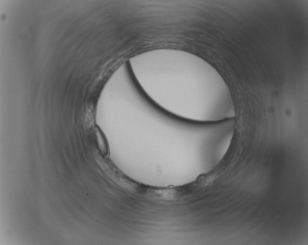 X0000051920478200507082059