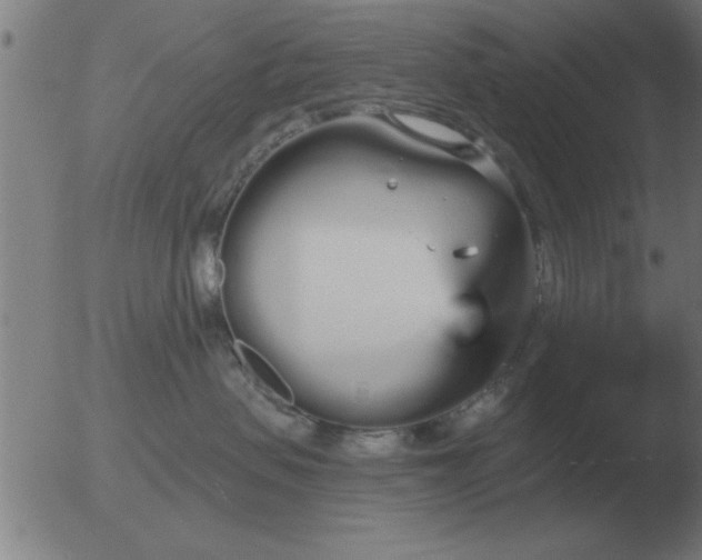 X0000051920479200507082059