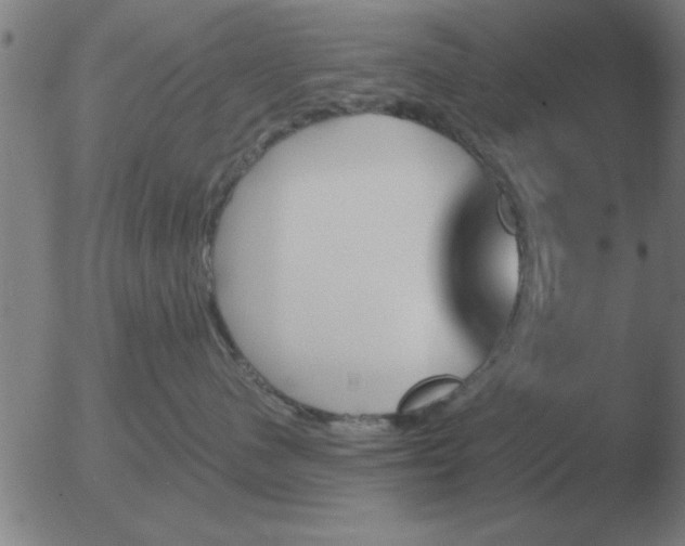 X0000051920480200507082059