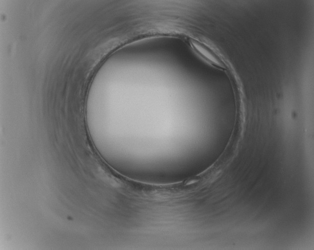 X0000051920481200507082059