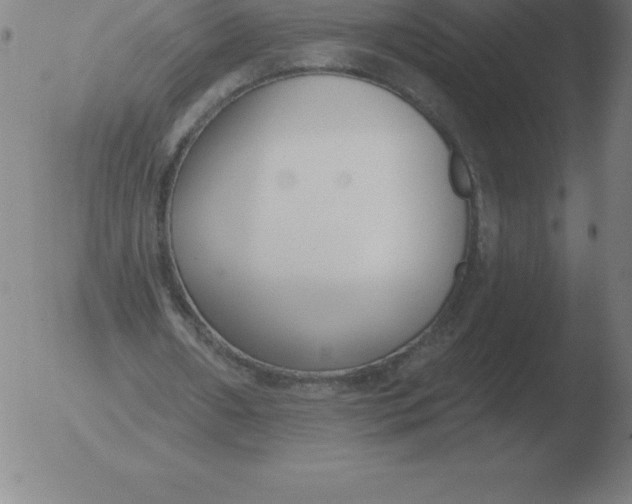 X0000051920482200507082059