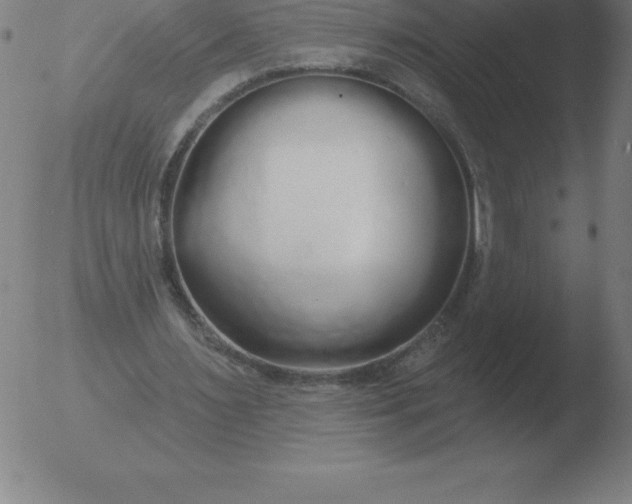 X0000051920483200507082059