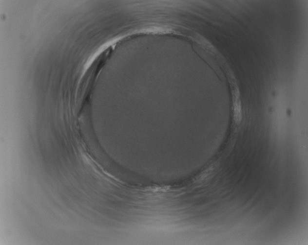 X0000051920484200507082059