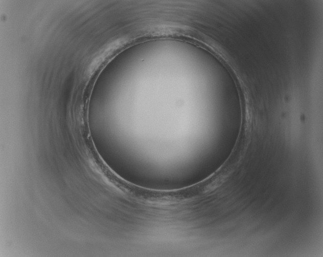 X0000051920485200507082059