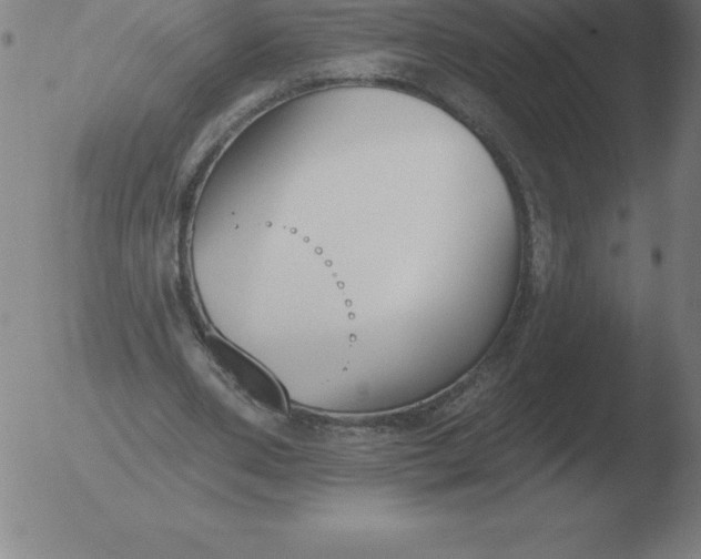 X0000051920486200507082059