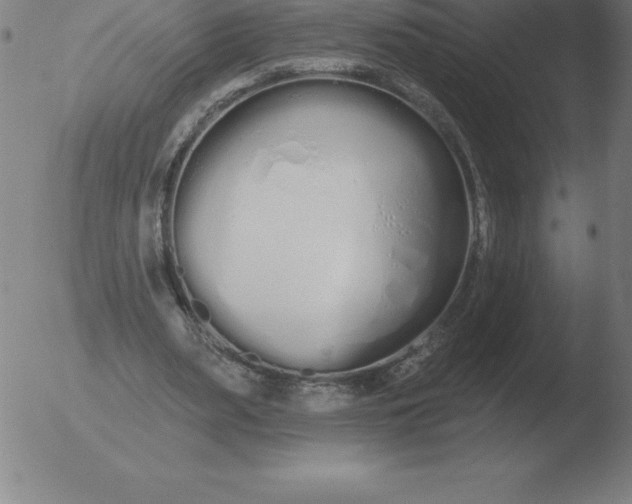 X0000051920487200507082059