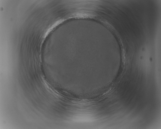 X0000051920488200507082059