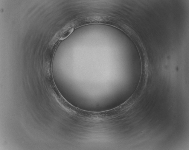 X0000051920489200507082059