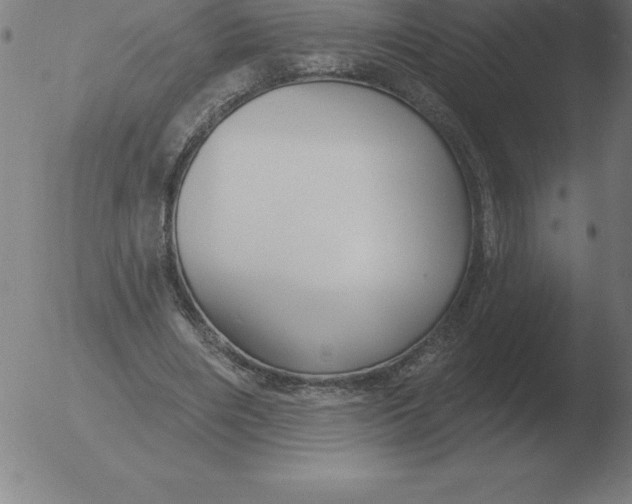 X0000051920490200507082059