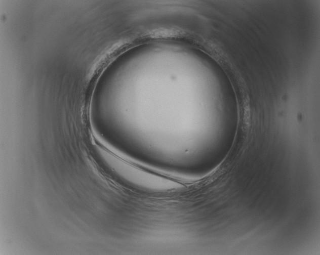 X0000051920491200507082059