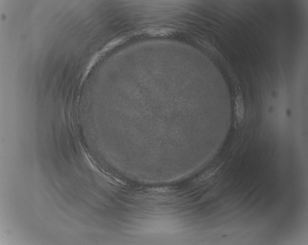 X0000051920492200507082059