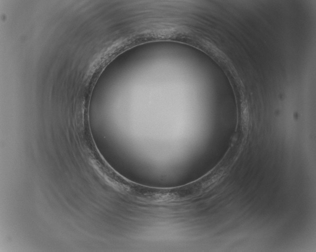 X0000051920493200507082059