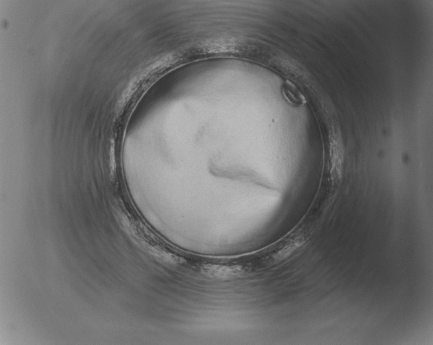 X0000051920494200507082058