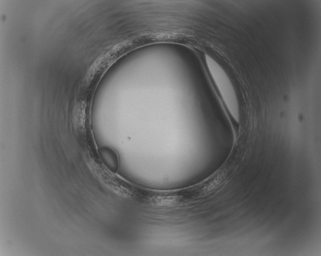 X0000051920495200507082058