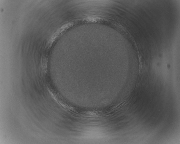 X0000051920496200507082058