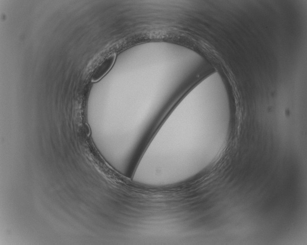 X0000051920497200507082058