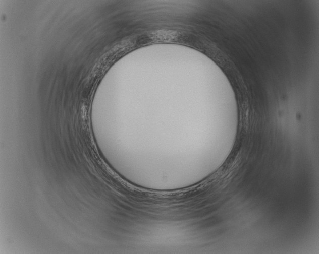 X0000051920498200507082058