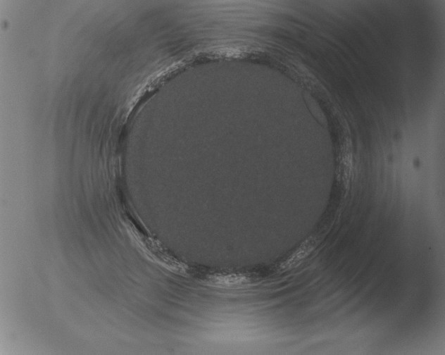 X0000051920500200507082058