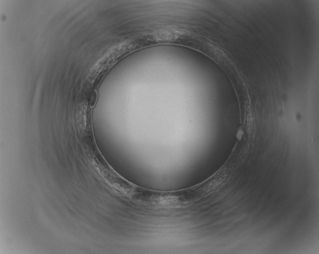 X0000051920501200507082058