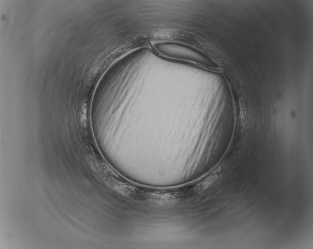 X0000051920502200507082058