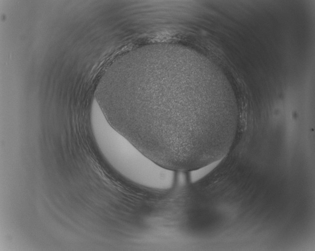 X0000051920503200507082058