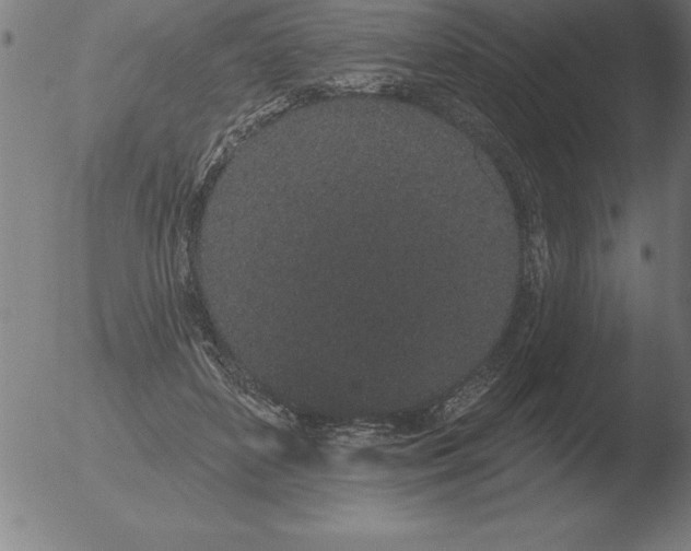 X0000051920504200507082058