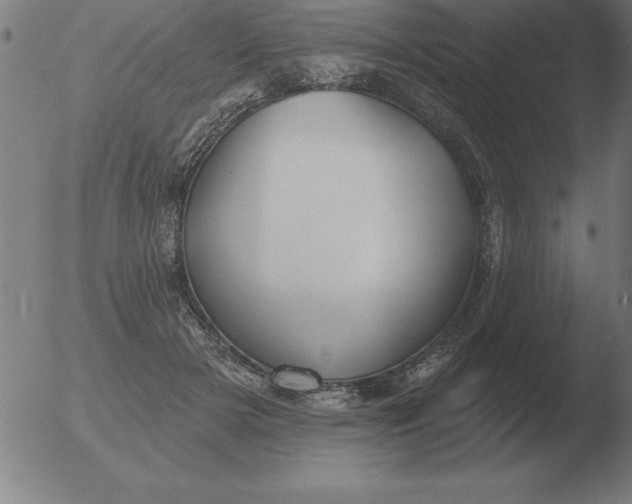 X0000051920505200507082058