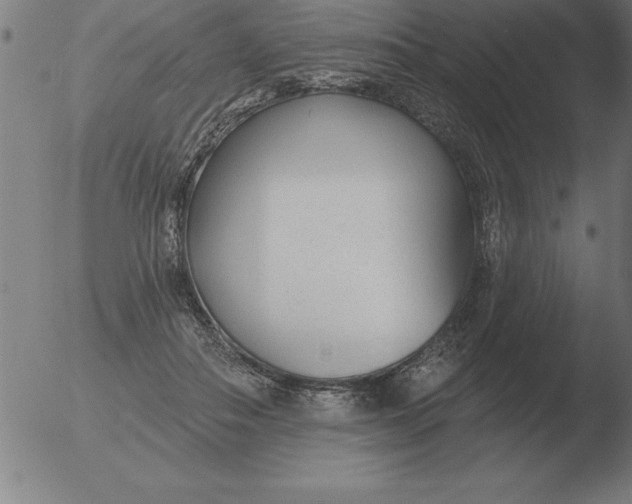 X0000051920506200507082058