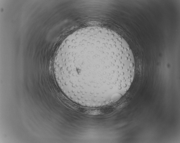 X0000051920507200507082058