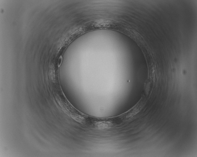 X0000051920508200507082058