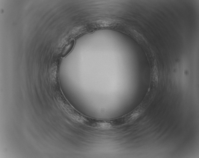 X0000051920509200507082058