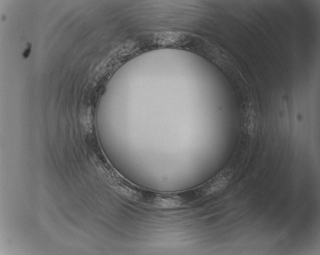 X0000051920510200507082058