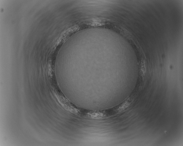 X0000051920512200507082058