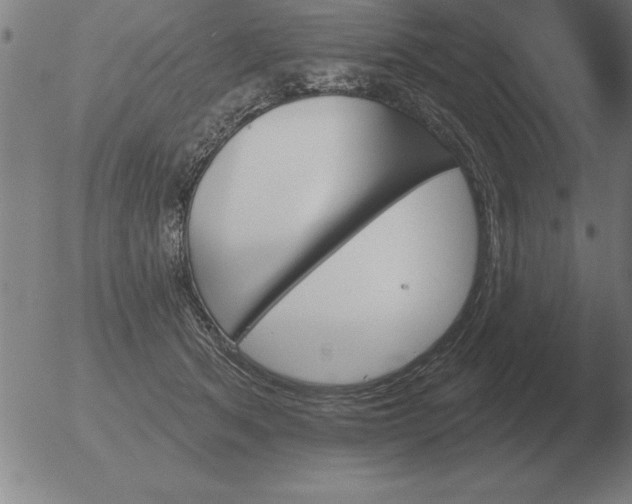 X0000051920513200507082058