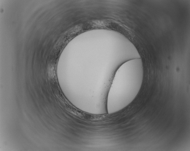 X0000051920514200507082058