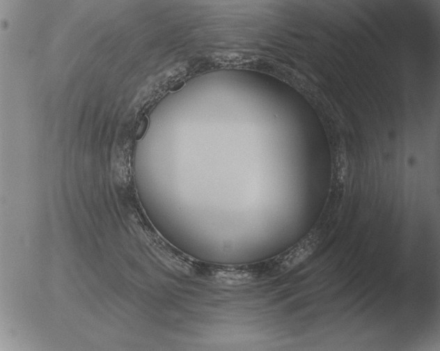 X0000051920515200507082058