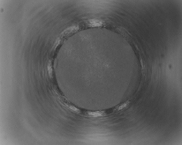 X0000051920516200507082058