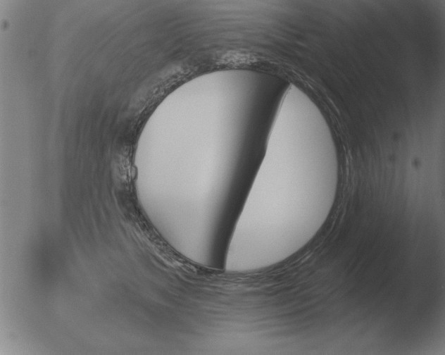 X0000051920517200507082058