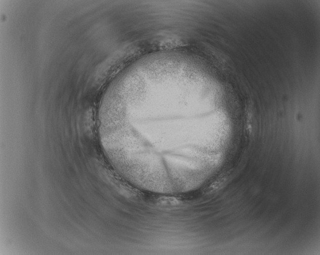 X0000051920519200507082058