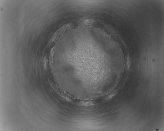 X0000051920520200507082058