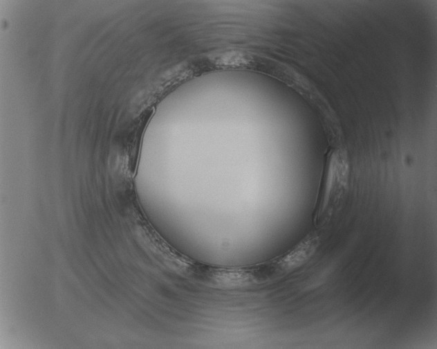 X0000051920521200507082058