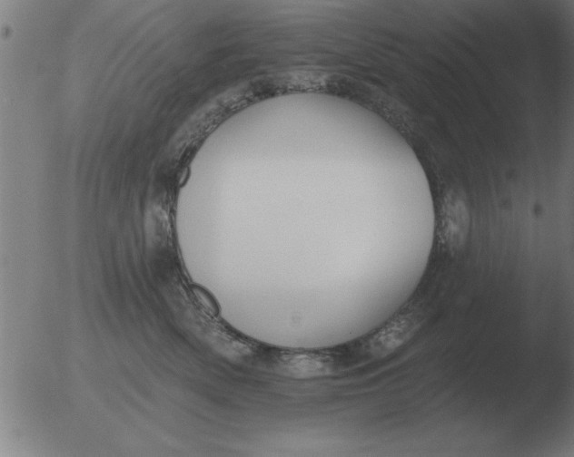 X0000051920522200507082058