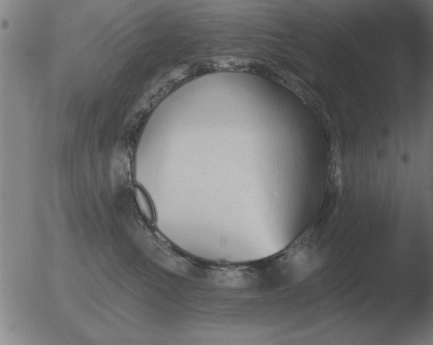 X0000051920523200507082058