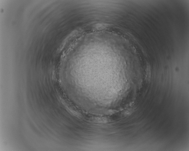 X0000051920524200507082058