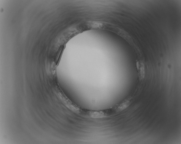 X0000051920525200507082058