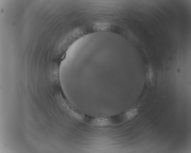 X0000051920526200507082058